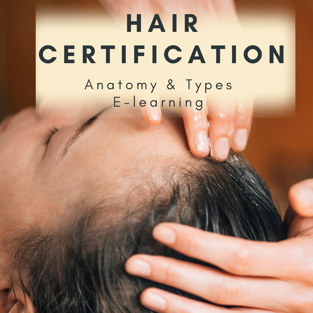 Ayurvedic Hair Certification Course Hair Anatomy Care House Of