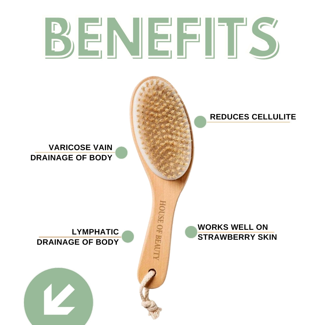 Dry Brushing 101 Handout — Functional Health Research + Resources — Made  Whole Nutrition